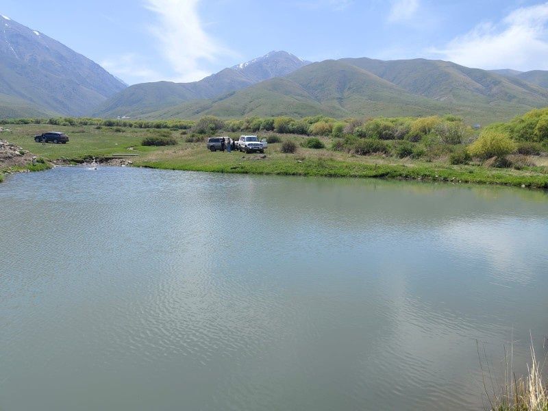 Продам фазенду продам