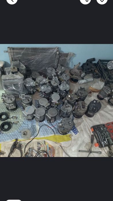 Kandisaner kaptiva maibga kobtga spark jentra neksyaga laseti bor