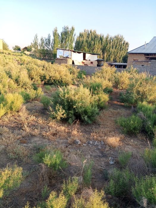 Qarshi tumani Yangibogda uchaska sotiladi