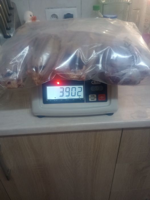 Carcasă porumbel la comanda
