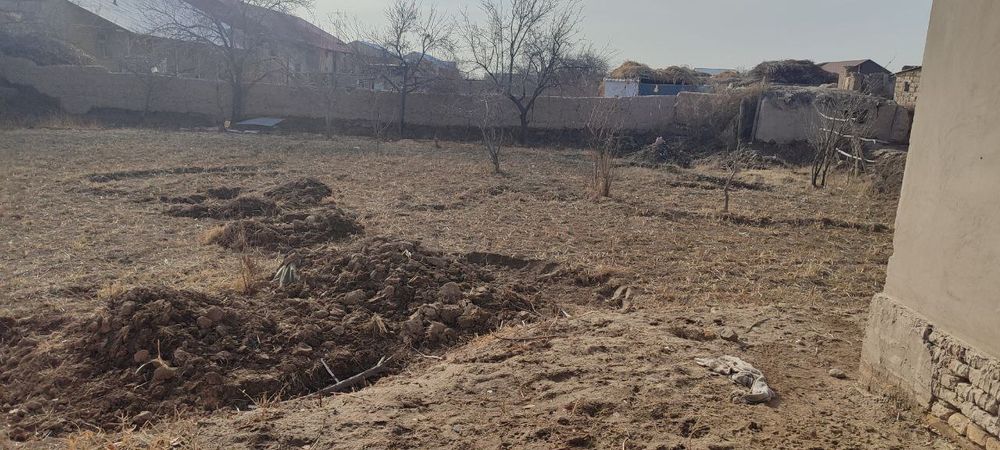 Хива тумани дашяк махалласи. Олдинги бустон