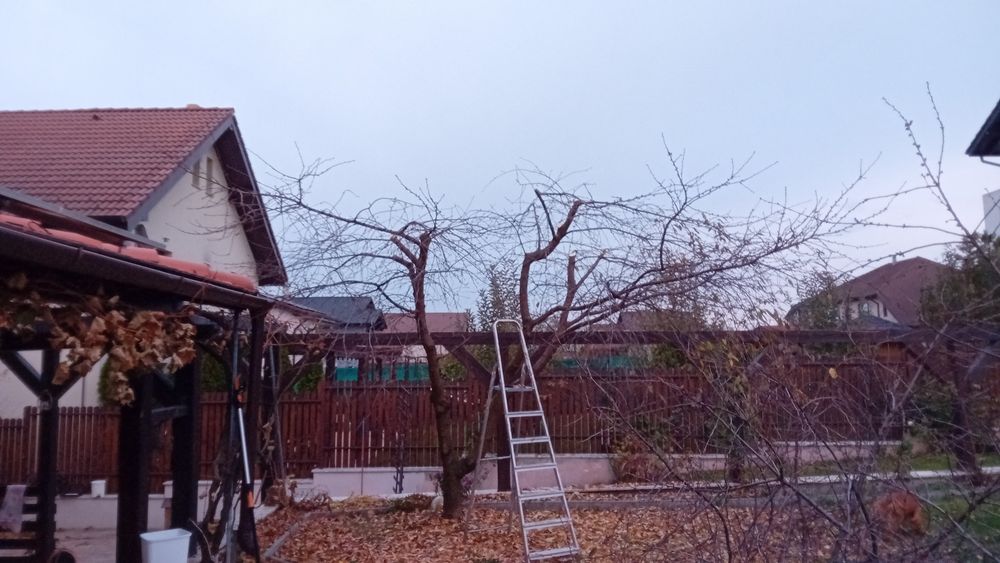 Gradinar/ Giardiniere cu 7 ani de experiență in Italia