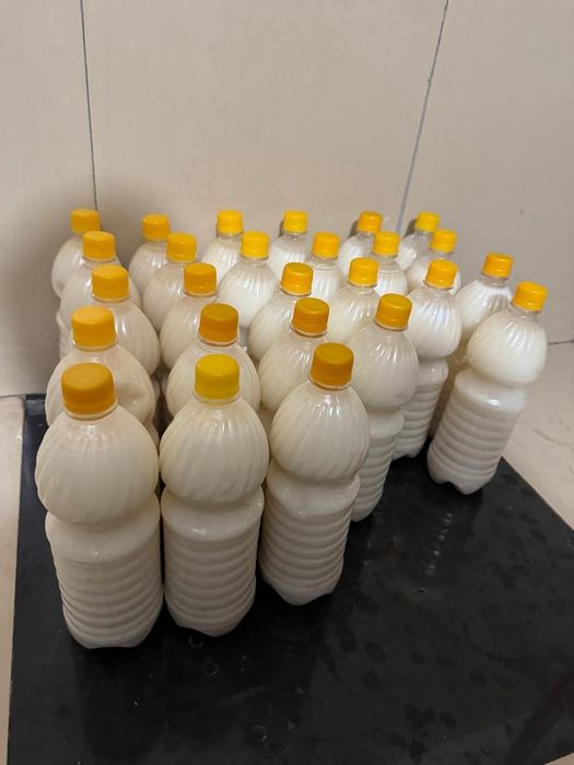 Қымыз 1300.Бал қымыз