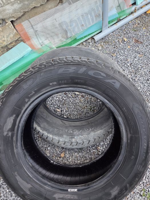 Зимни гуми Дебица