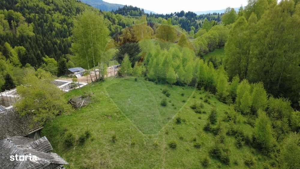Teren 3,821mp Dambovicioara