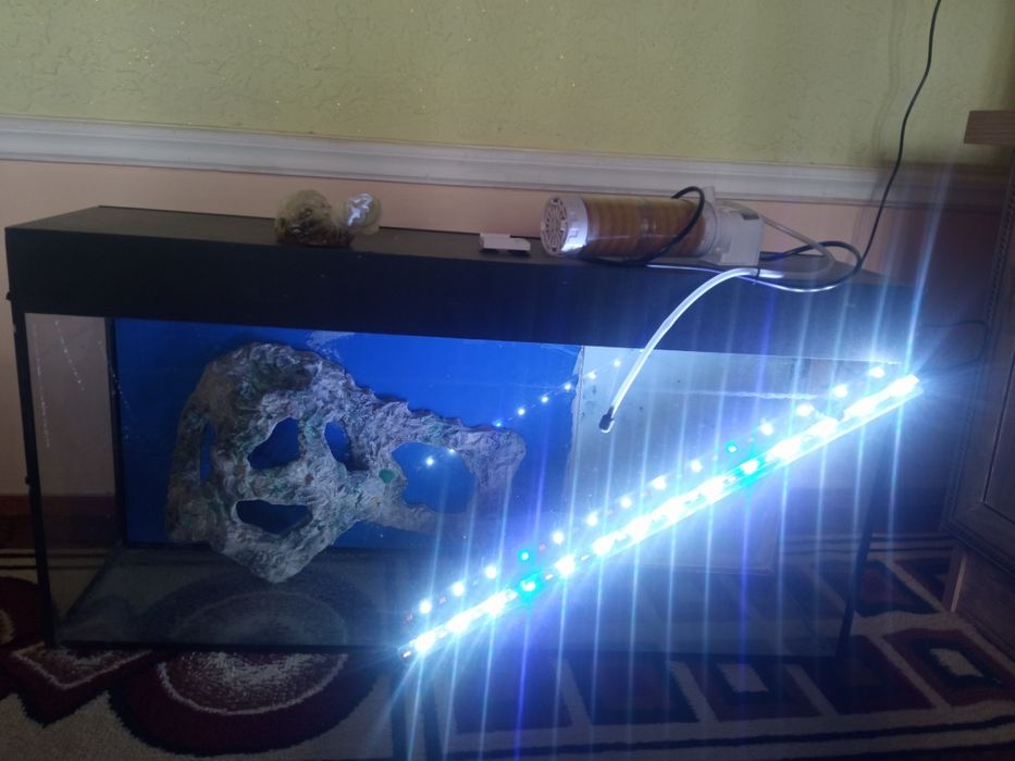 Xajmi:Akvarium 80 litr