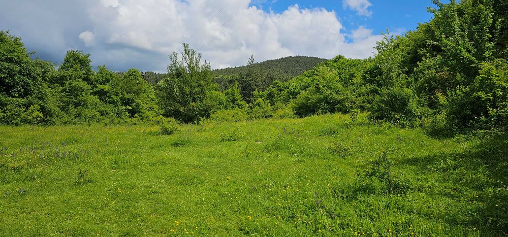 Продава се Парцел в Перник, Изток - 11803 кв.м за 16 €/кв.м - Снимка #4