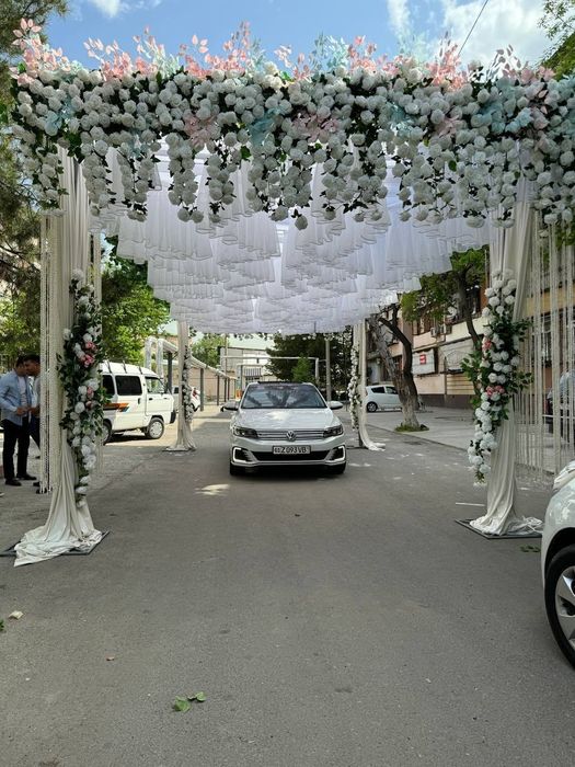 Ofarmleniya/decoratsya. tóy xizmatlari