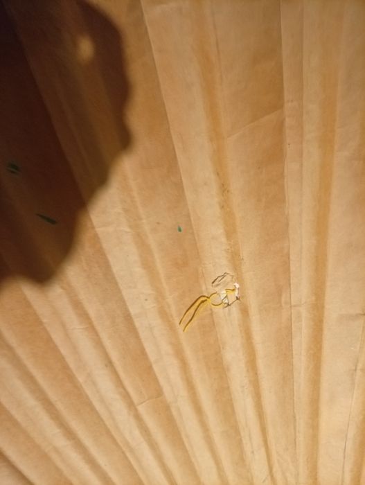 Большой декоративный веер