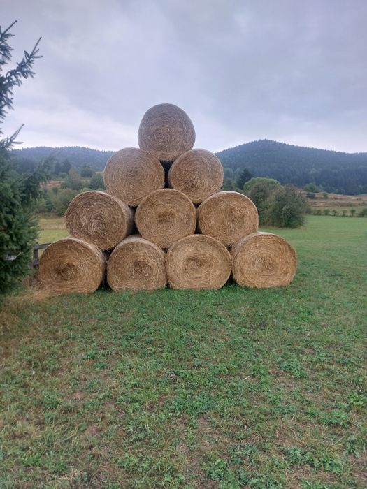 Baloti de paie de grau