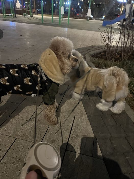 Продам одежду всё за 7000