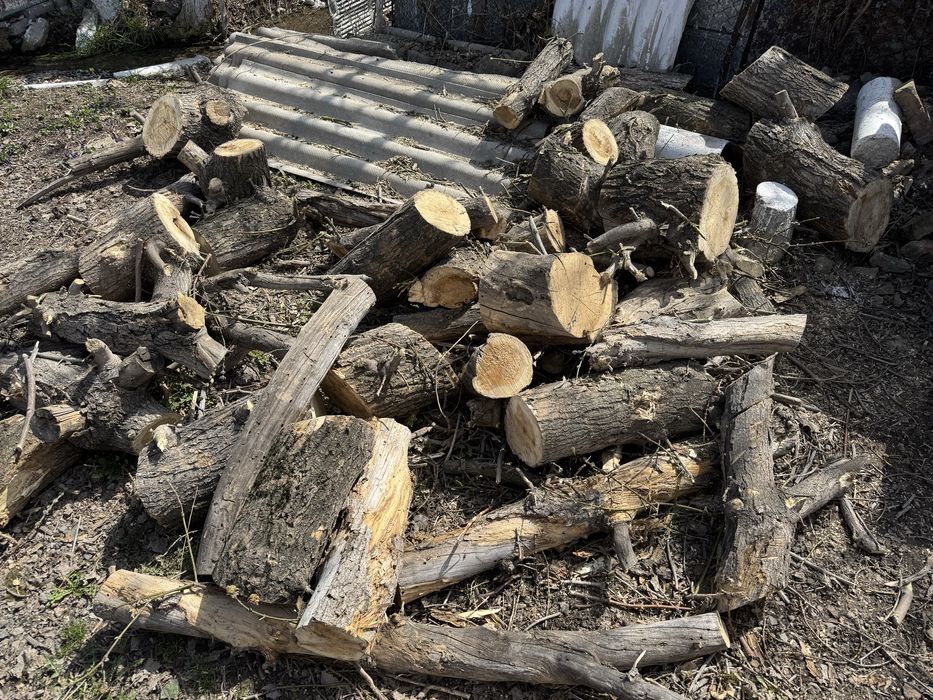 Продам ДРОВА клен