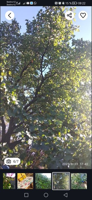 Продам огородный участок