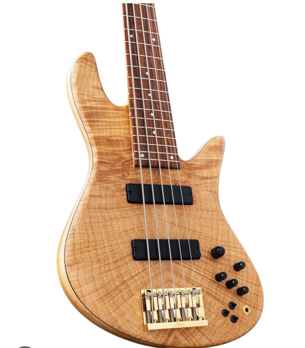 Cursuri de chitară bass