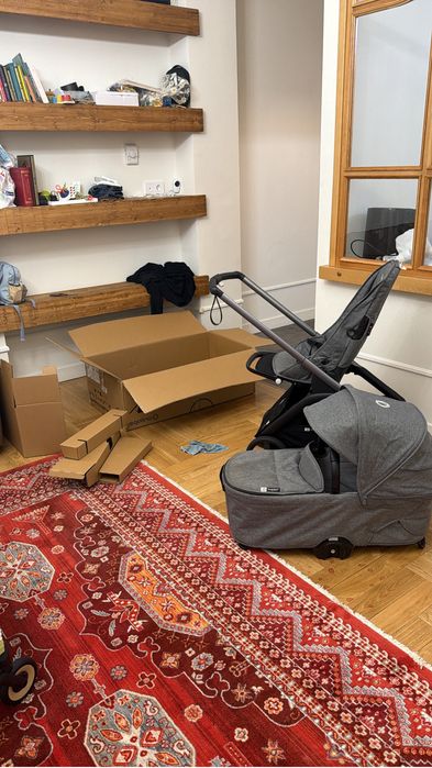 Bugaboo dragonfly