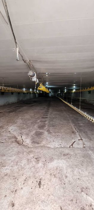 Продава се Промишлена сграда в с. Ушинци, Област Разград - 1620 кв.м за 189 €/кв.м - Снимка #1