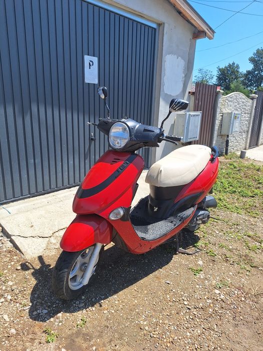 Scuter 49 cm acte Olanda