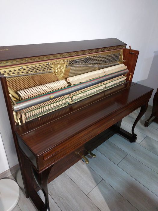 Pianina Ed. Seiler (mecanică Renner nemțească, transport gratuit)
