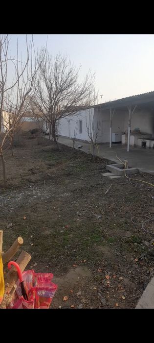 Termiz shahar namuna 1 brigada bobur