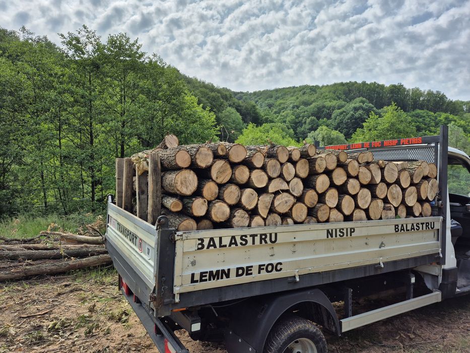 Lemne de foc esență tare.