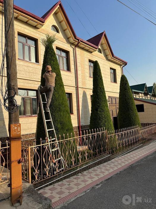 Archa kesish va Gazon ikkish dorilash xizmati