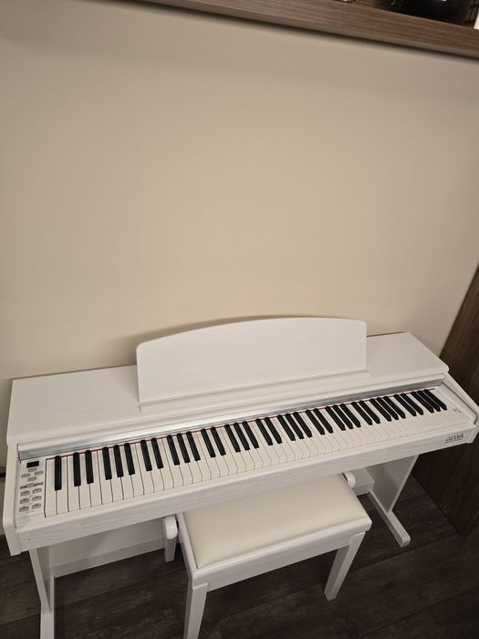 Дигитално пиано GEWA DP300G