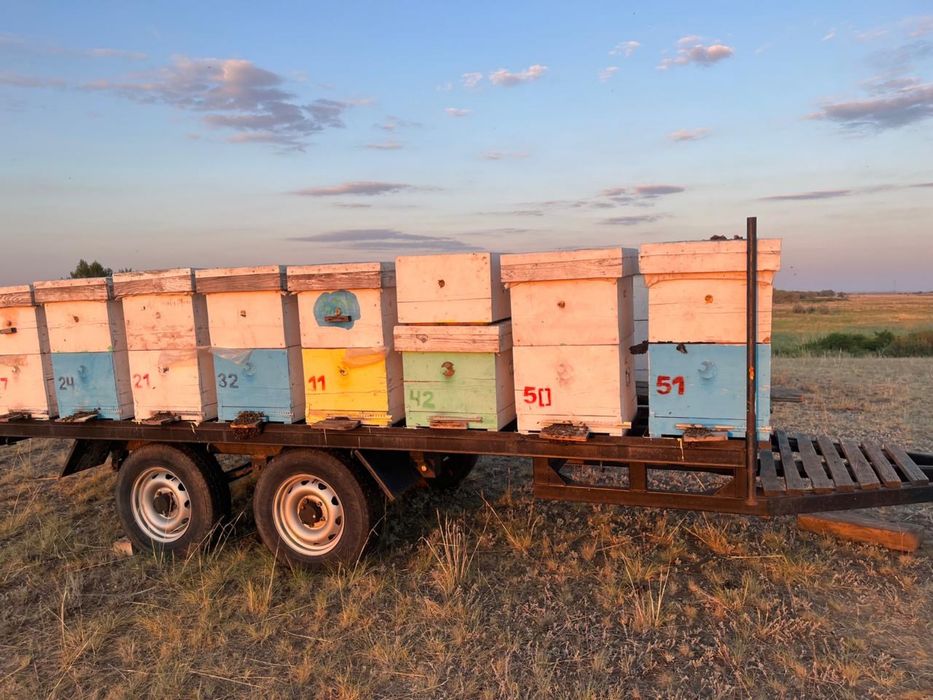 ПРодам пчеловодческий прицеп