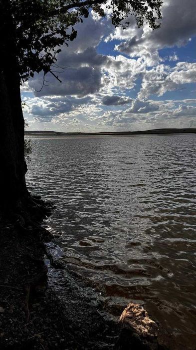 Фермерское хозяйство Караганда
