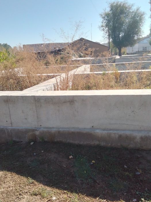 Chinozdan uchaska SHOSHILINCH