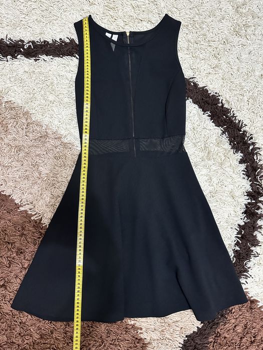 Rochita neagra zi