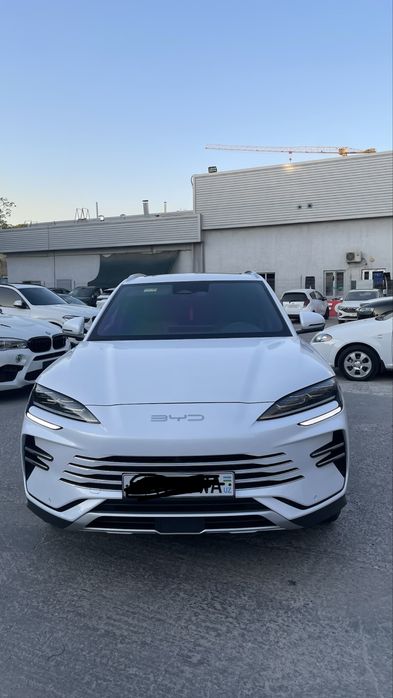 Byd chempion