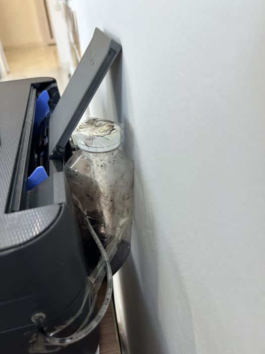 Принтер Epson 3101