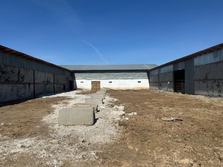 База земля 2,9 ГА дом