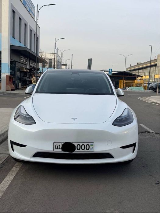 Tesla Model Y (Korea) 2024/2025 Srochno