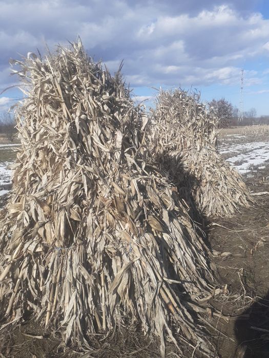 Strujeni de vânzare