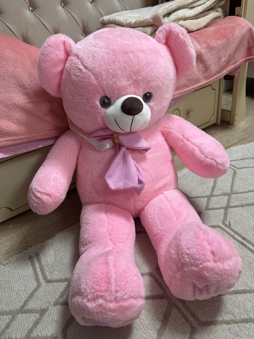 Метровые хризонтемы