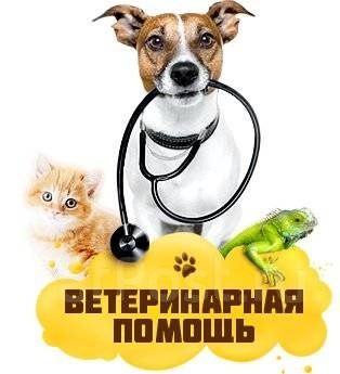 Ветеринар на выезд