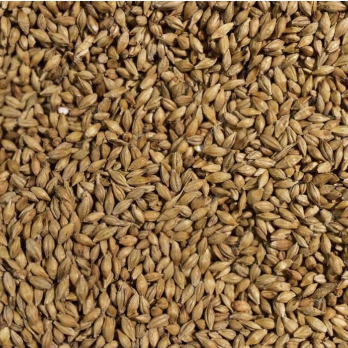 Grau 1 leu - Corlatești comuna Berceni