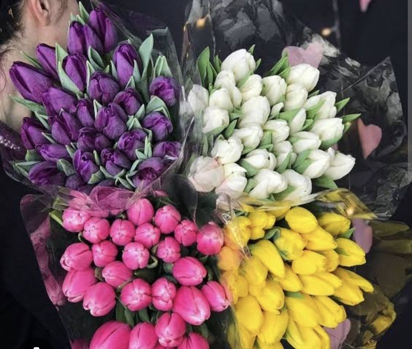 Тюльпаны по 750 тг