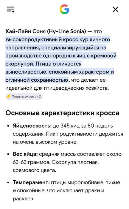 Хай-лайн соня Сертухум Макён жужалари Цыплята Курочки несушки Jojalar