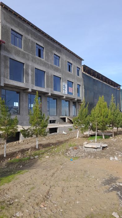 Ариенда Магазиен