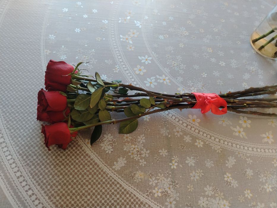 10шт метровый розы