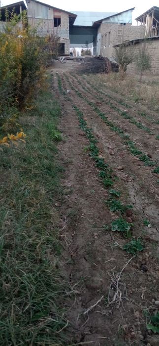 Учаска сотилади Халбодда