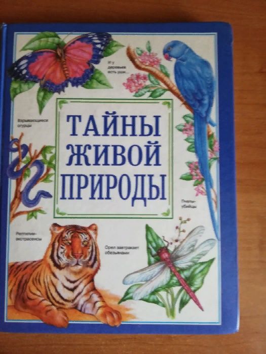 Книги детские. Сказки.