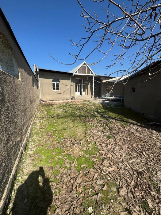 Tramatalogiyada hovli sotiladi