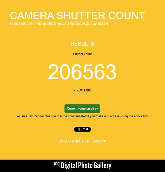 Nikon D800 + Nikkor 24-70 2.8 G ED