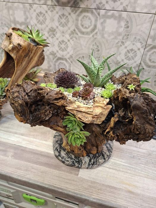 Мини градинка за вашият дом и офис.