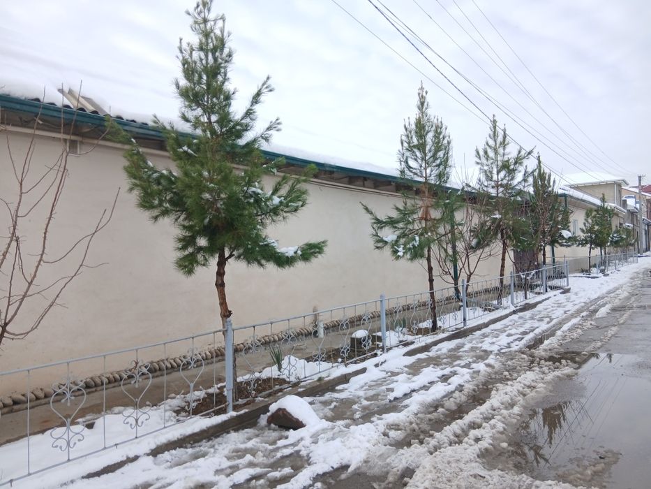 Продам дом 13.5 соток