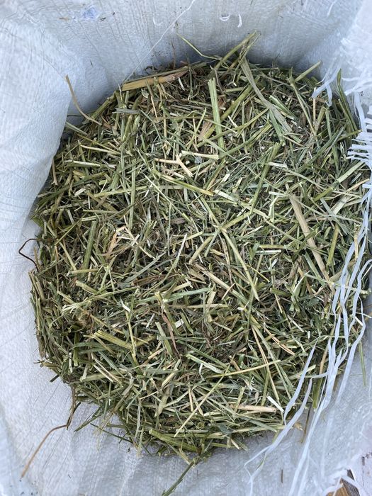 Сено дробленое в мешках