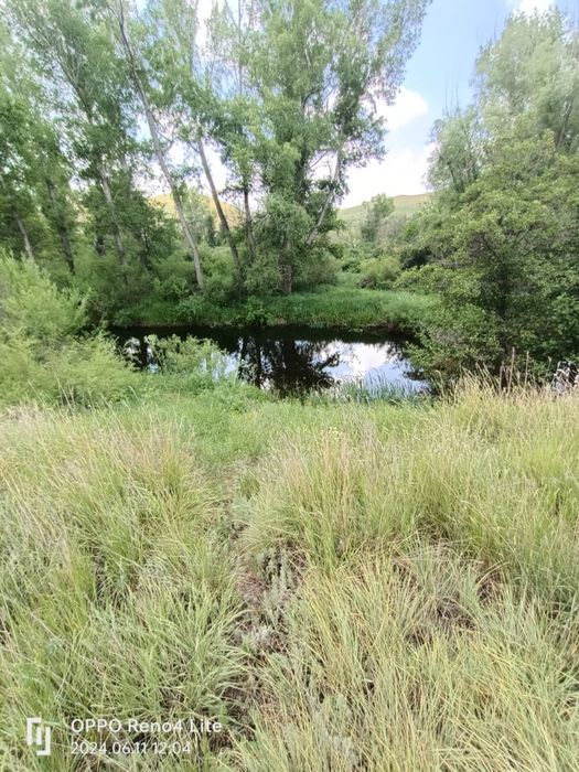 Крестьянское хозяйство